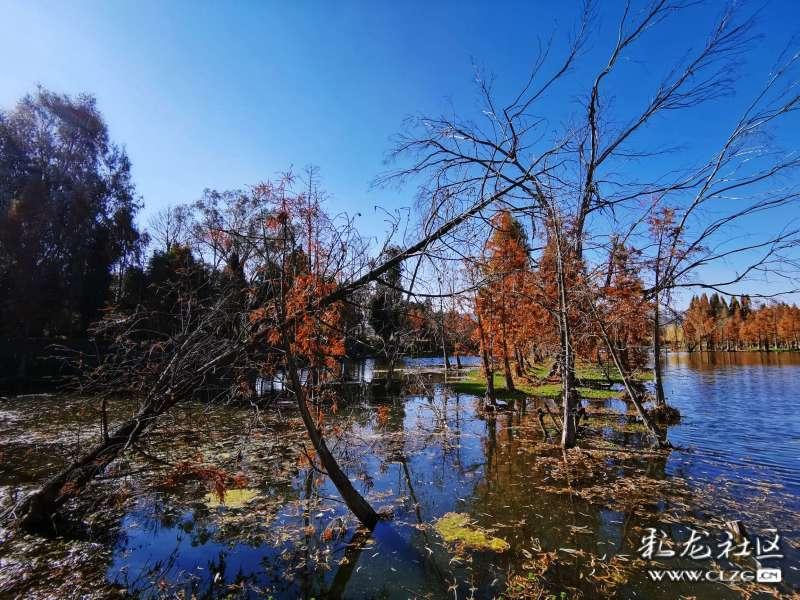 河南方城县一学校发生火灾,应急管理部派工作组赴现场指导处置